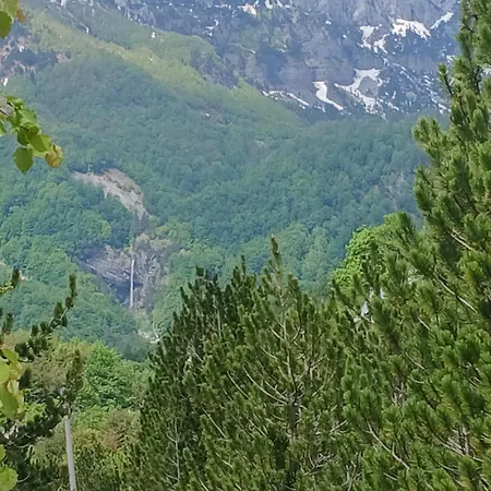 Bujtina Albjoni 3*